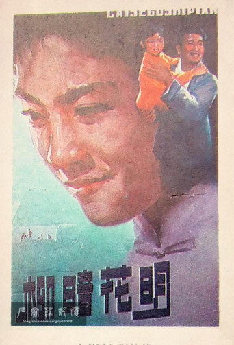 柳暗花明 poster