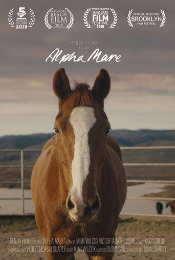 Movie poster for Alpha Mare (2019)
