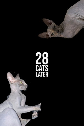 Movie poster for 28 Cats Later (2025)