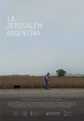 Movie poster for La Jerusalem argentina (2017)