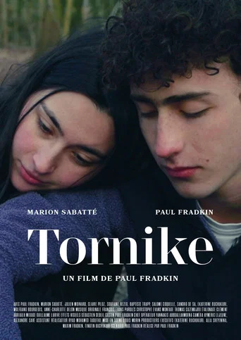 Movie poster for Tornike