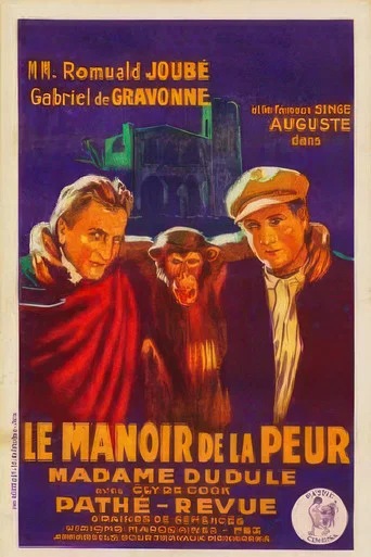 Movie poster for The Manor House of Fear (1927)