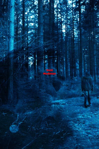 Movie poster for Void Madness (2026)
