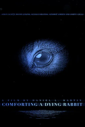 Movie poster for Comforting A Dying Rabbit (2024)