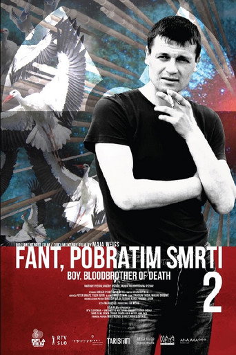 Movie poster for Boy, Bloodbrother of Death 2 (2012)