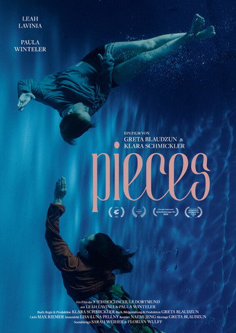 Movie poster for pieces (2024)