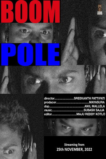 Movie poster for Boom Pole
