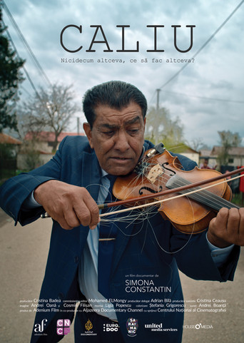 Caliu: Nothing Else, What More Could I Do? poster