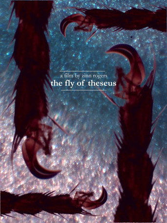 Movie poster for The Fly of Theseus (2026)