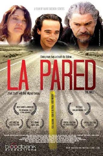 Movie poster for The Wall (2007)