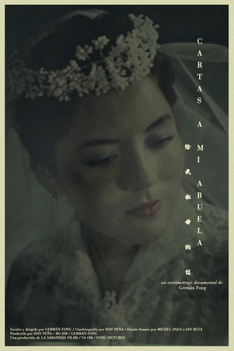 Movie poster for Letters to my Grandma (2024)