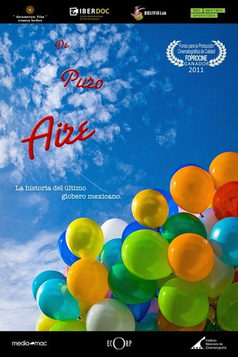 Movie poster for Anything Else Than Air (2014)
