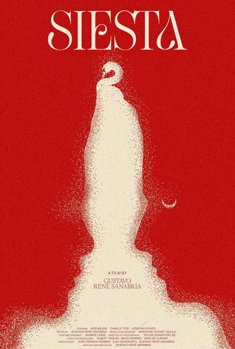 Movie poster for Siesta (2024)