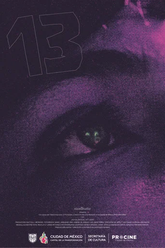Movie poster for 13