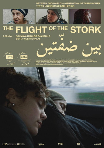 Movie poster for The Flight of the Stork (2025)
