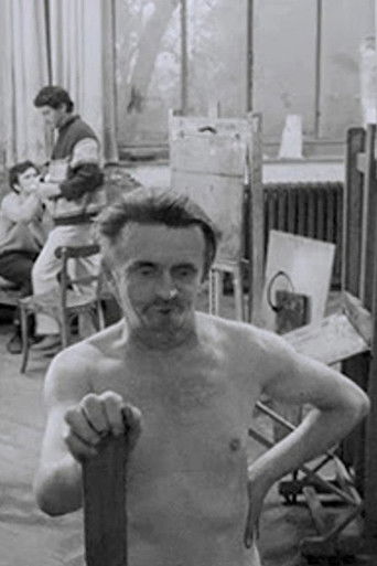 Mister Hrstka poster