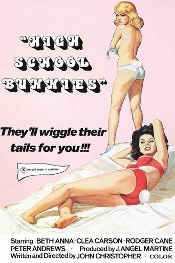 Movie poster for High School Bunnies (1977)