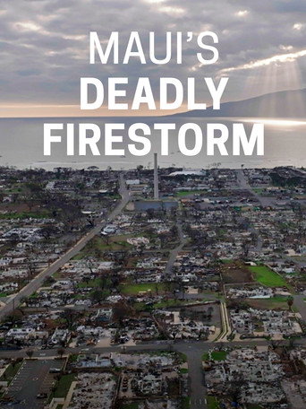 Movie poster for Maui's Deadly Firestorm (2024)