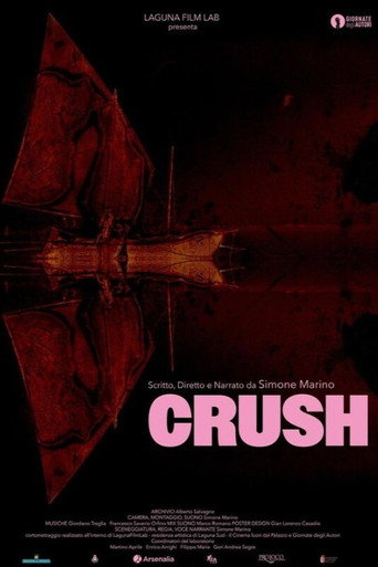 Movie poster for CRUSH