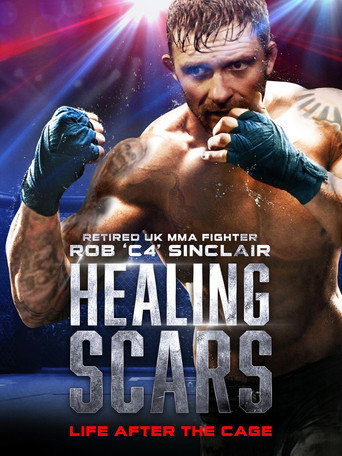 Movie poster for Healing Scars (2018)
