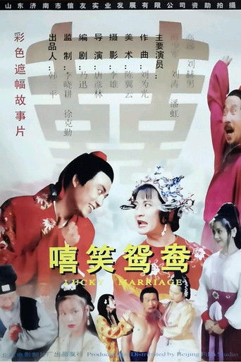 嘻笑鸳鸯 poster