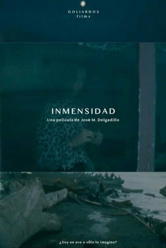 Movie poster for Immensity (2021)