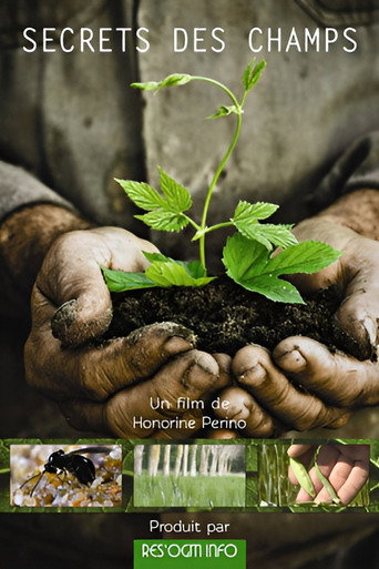 Movie poster for Secrets des champs