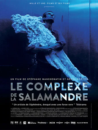 Movie poster for Le Complexe de la salamandre (2015)
