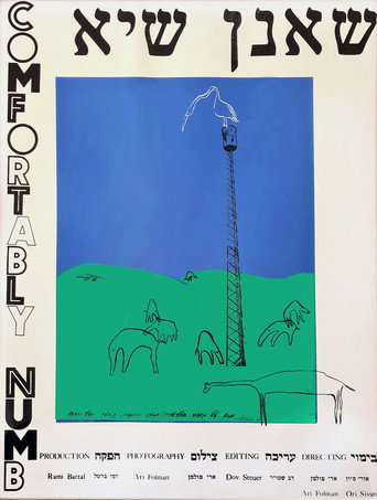 Comfortably Numb poster