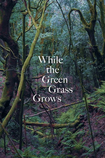 Movie poster for While the Green Grass Grows (2025)