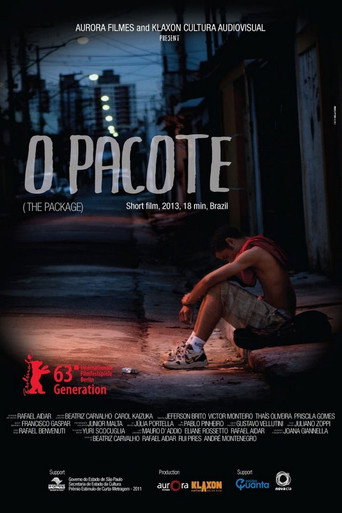 Movie poster for The Package (2013)
