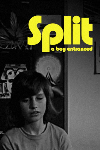 Movie poster for Split (1974)