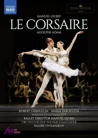 Movie poster for Le Corsaire (2019)