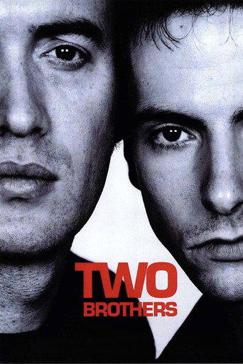 Movie poster for Two Brothers (2001)
