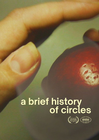Movie poster for A Brief History of Circles (2024)