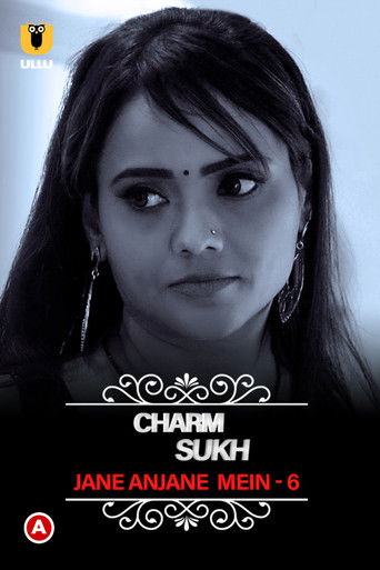 Charmsukh - Jane Anjane Mein 6 poster