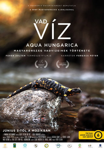 Movie poster for Where Rivers Run Wild: Aqua Hungarica (2021)