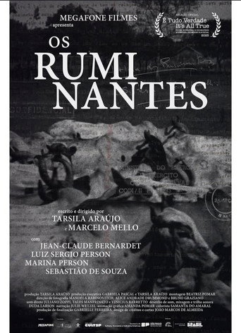 Os Ruminantes poster