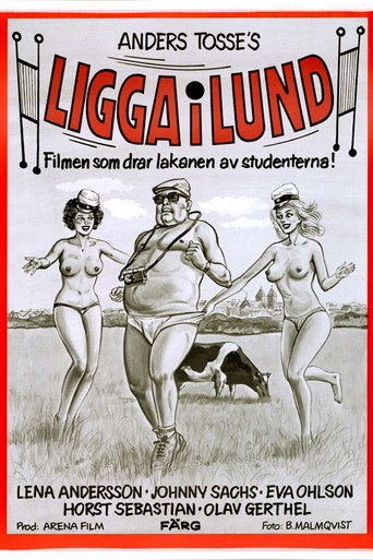 Movie poster for Lay in Lund (1981)