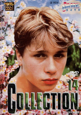 Movie poster for Game Boys Collection 14