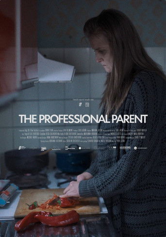 The Professional Parent poster