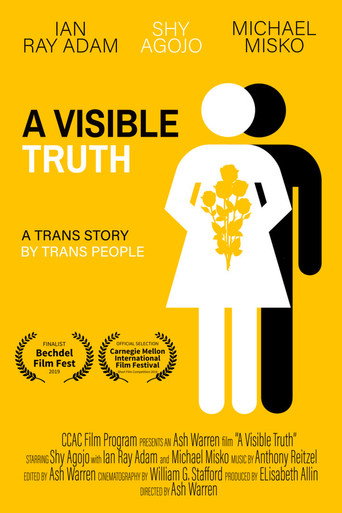 Movie poster for A Visible Truth