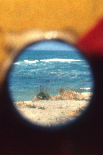 Movie poster for New Shores (2012)