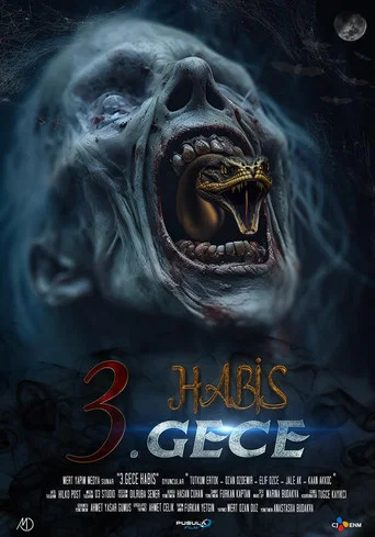 Movie poster for 3. Gece Habis (2024)