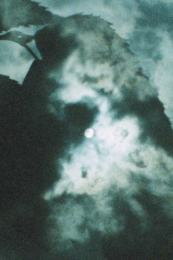 Movie poster for Shadow Stepping (1983)