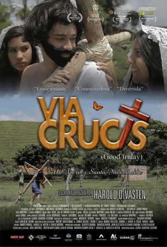 Movie poster for Vía crucis (2016)