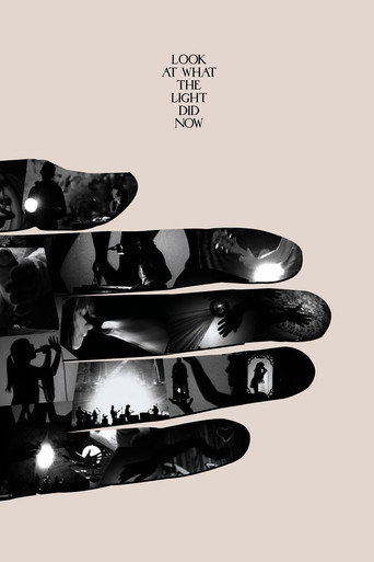 Movie poster for Look at What the Light Did Now (2010)