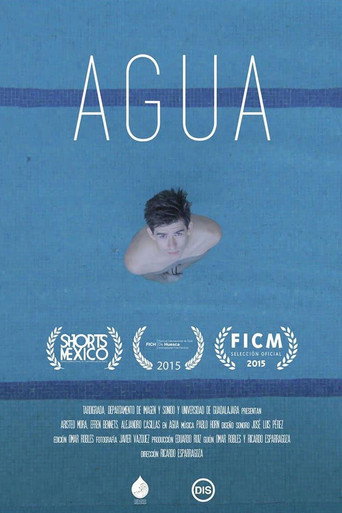 Movie poster for Water (2015)