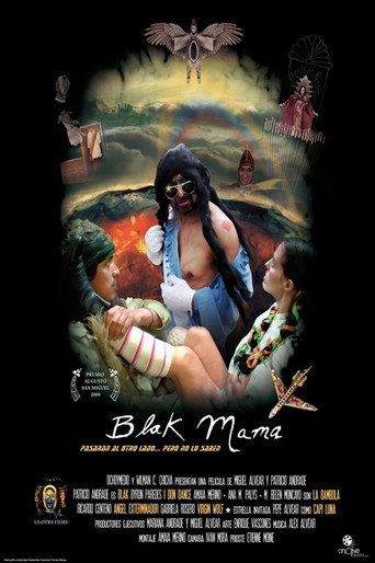 Movie poster for Blak Mama (2009)