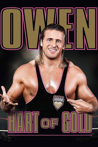 Owen: Hart of Gold poster